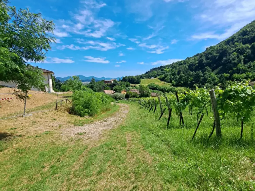 Immagine 8 di Rustico / casale in vendita  a Villaga