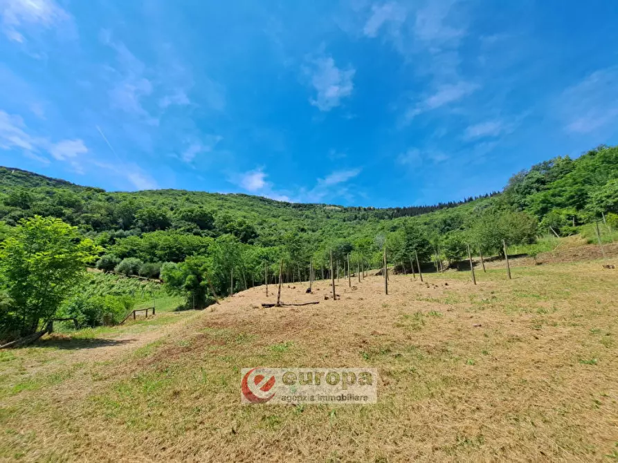 Immagine 11 di Rustico / casale in vendita  a Villaga