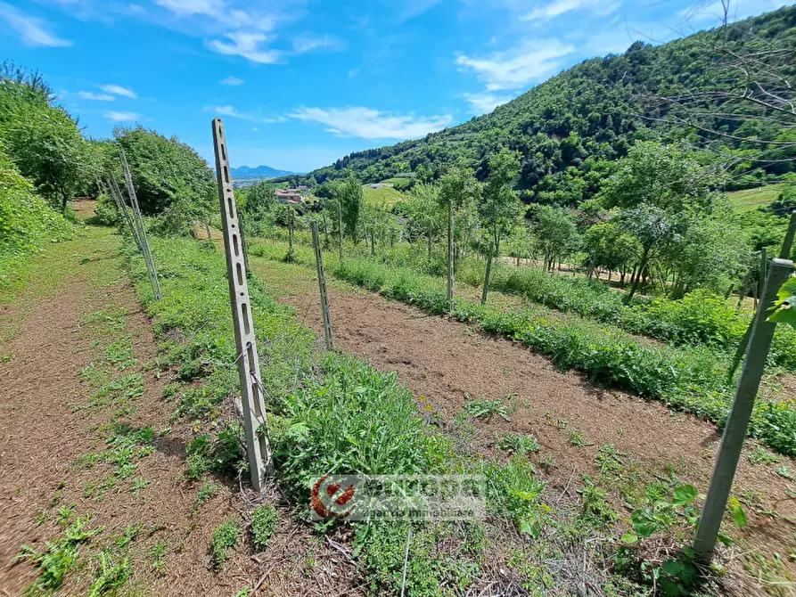 Immagine 13 di Rustico / casale in vendita  a Villaga