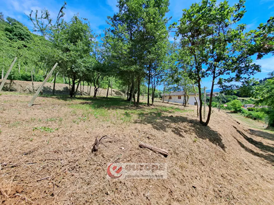 Immagine 14 di Rustico / casale in vendita  a Villaga