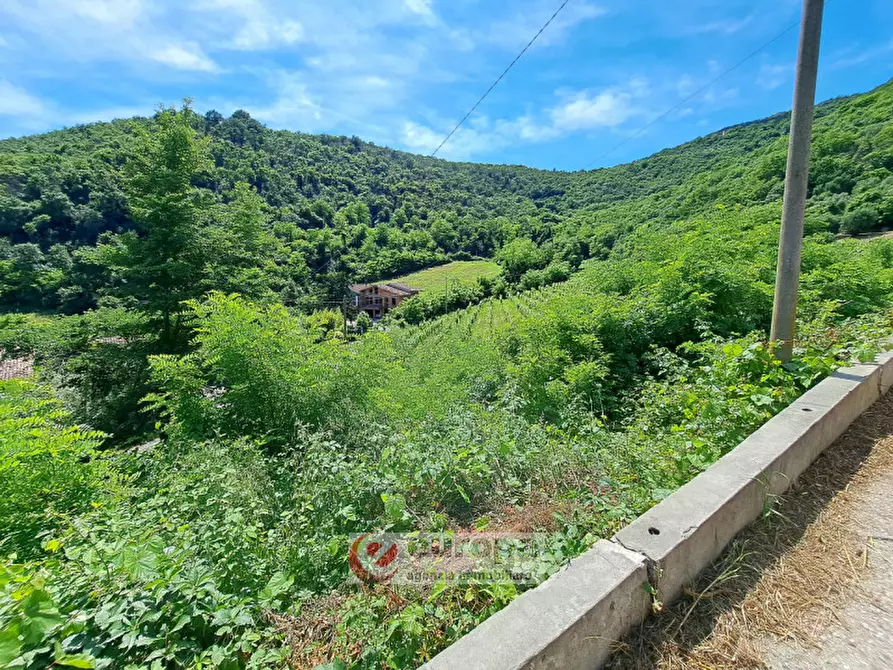 Immagine 17 di Rustico / casale in vendita  a Villaga