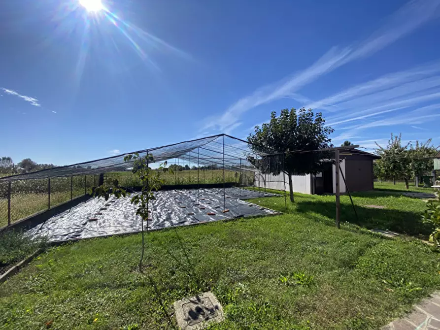 Immagine 41 di Casa indipendente in vendita  a Massanzago