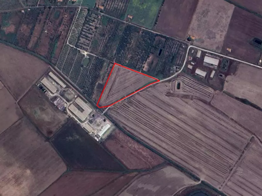 Immagine 1 di Terreno in vendita  in Contrada Sigonella, Strada Galerno Lentini (SR) a Lentini