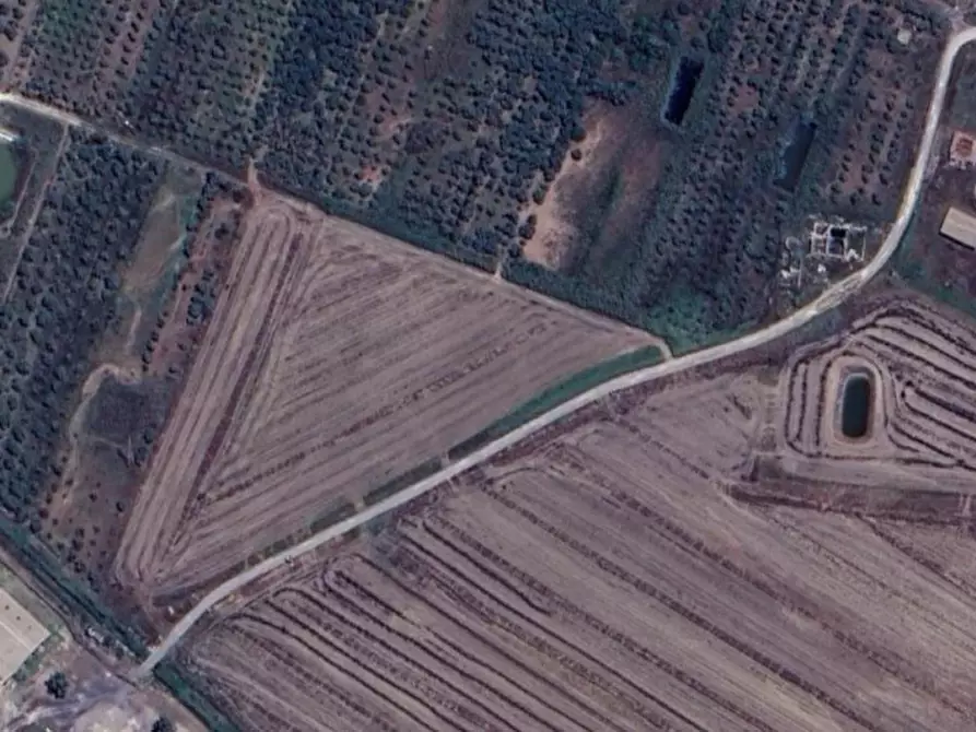 Immagine 3 di Terreno in vendita  in Contrada Sigonella, Strada Galerno Lentini (SR) a Lentini