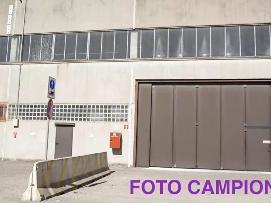 Immagine 1 di Capannone industriale in vendita  in VIA ROMA 1 a Boara Pisani