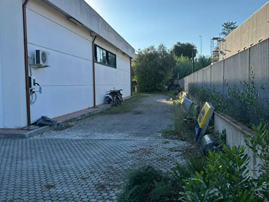 Immagine 3 di Capannone industriale in affitto  in Via dei Fabbri 26 a Livorno