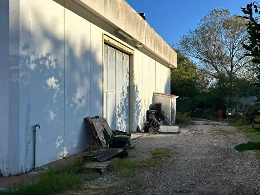 Immagine 5 di Capannone industriale in affitto  in Via dei Fabbri 26 a Livorno
