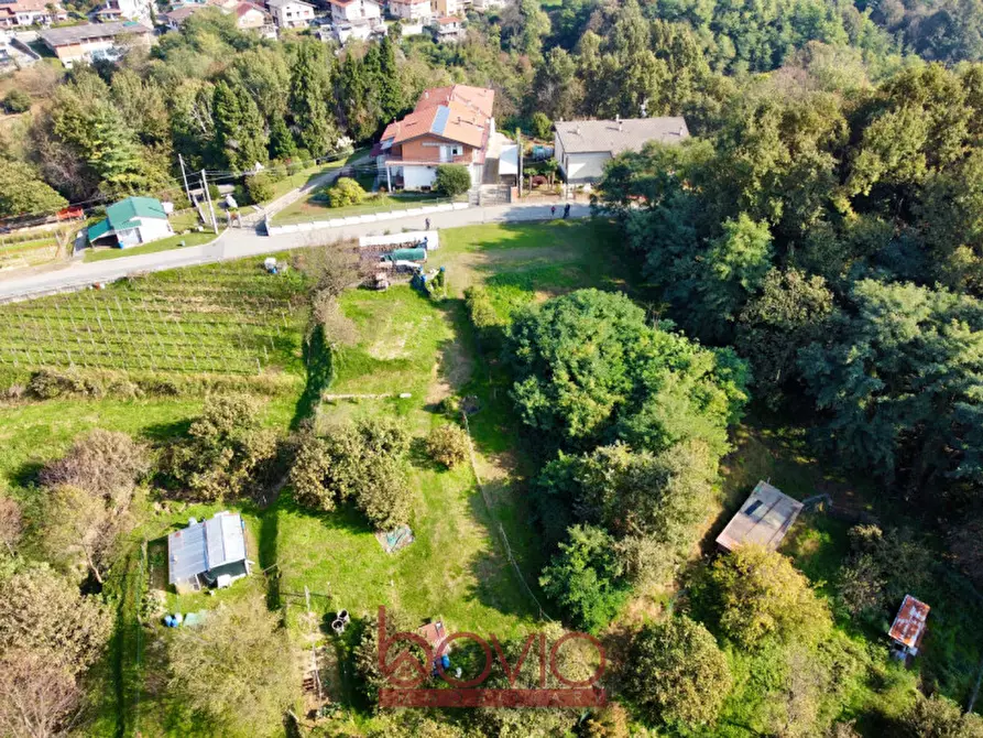 Immagine 2 di Terreno in vendita  in VIA ALDO MORO SNC a Masserano