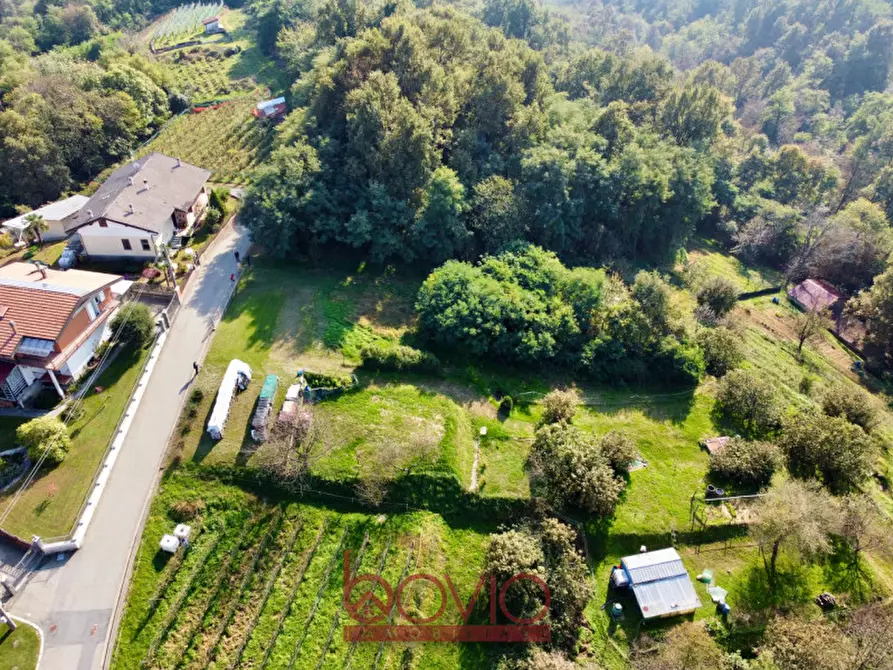 Immagine 4 di Terreno in vendita  in VIA ALDO MORO SNC a Masserano