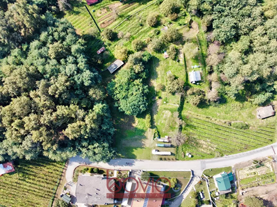 Immagine 5 di Terreno in vendita  in VIA ALDO MORO SNC a Masserano