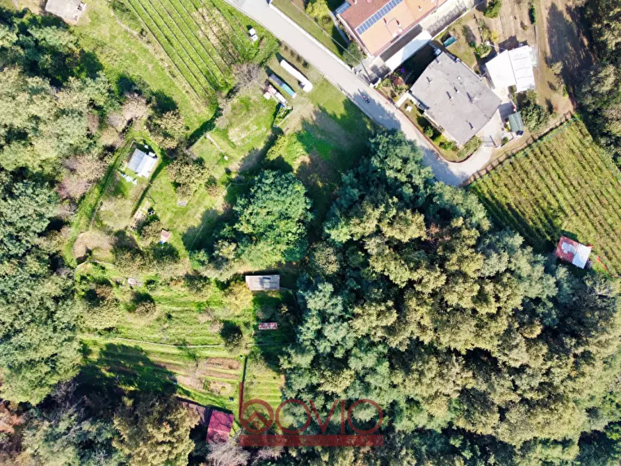 Immagine 5 di Terreno in vendita  in VIA ALDO MORO SNC a Masserano