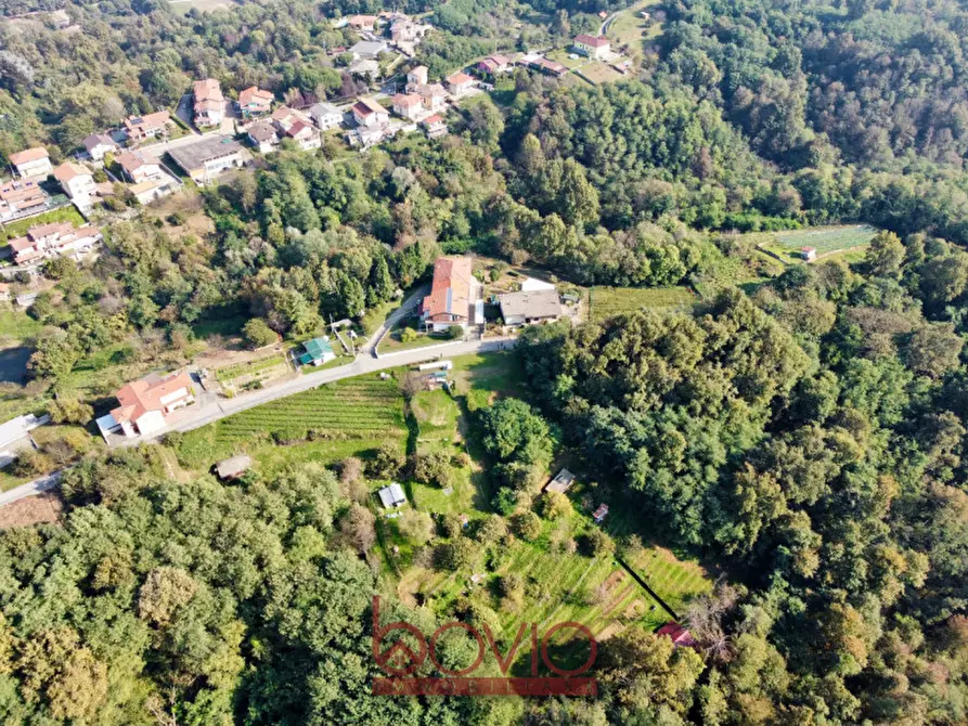 Immagine 7 di Terreno in vendita  in VIA ALDO MORO SNC a Masserano