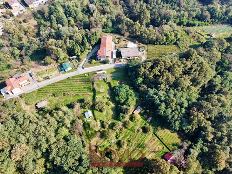 Immagine 7 di Terreno in vendita  in VIA ALDO MORO SNC a Masserano