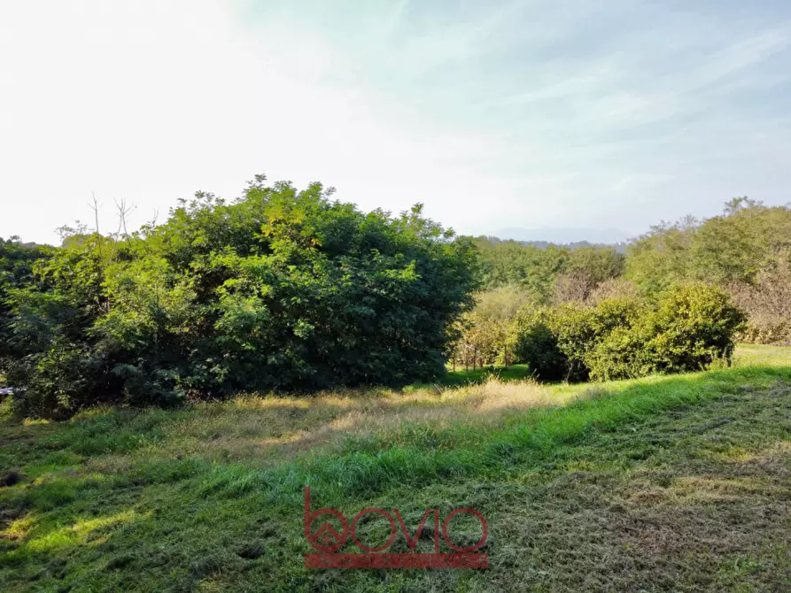 Immagine 14 di Terreno in vendita  in VIA ALDO MORO SNC a Masserano