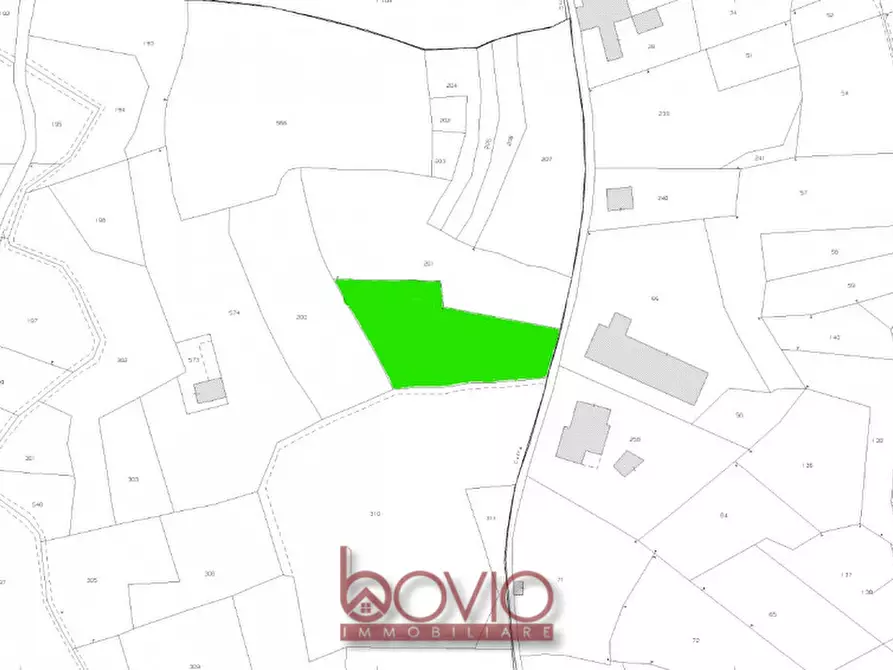 Immagine 23 di Terreno in vendita  in VIA ALDO MORO SNC a Masserano