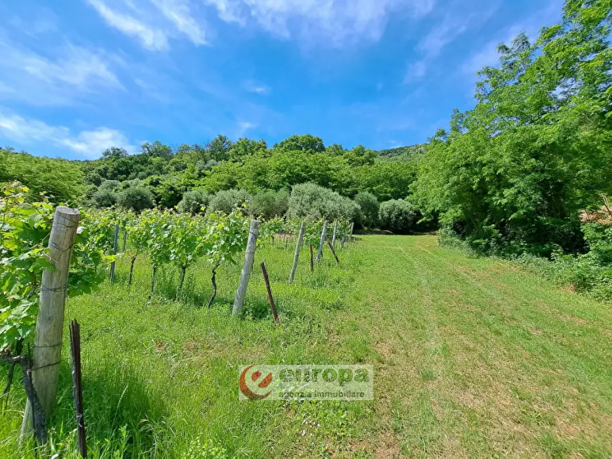 Immagine 5 di Terreno in vendita  a Villaga