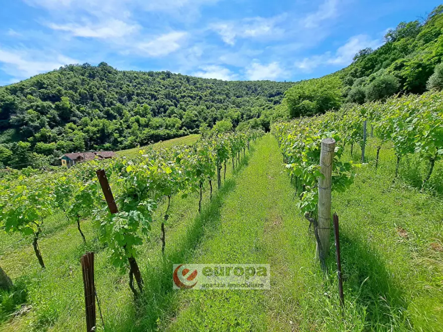Immagine 6 di Terreno in vendita  a Villaga