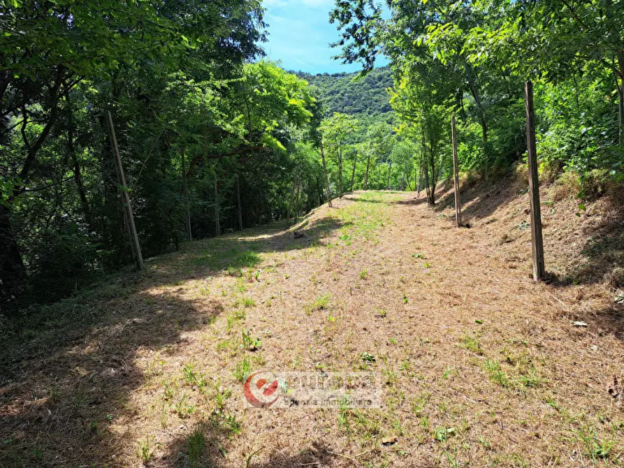 Immagine 10 di Terreno in vendita  a Villaga