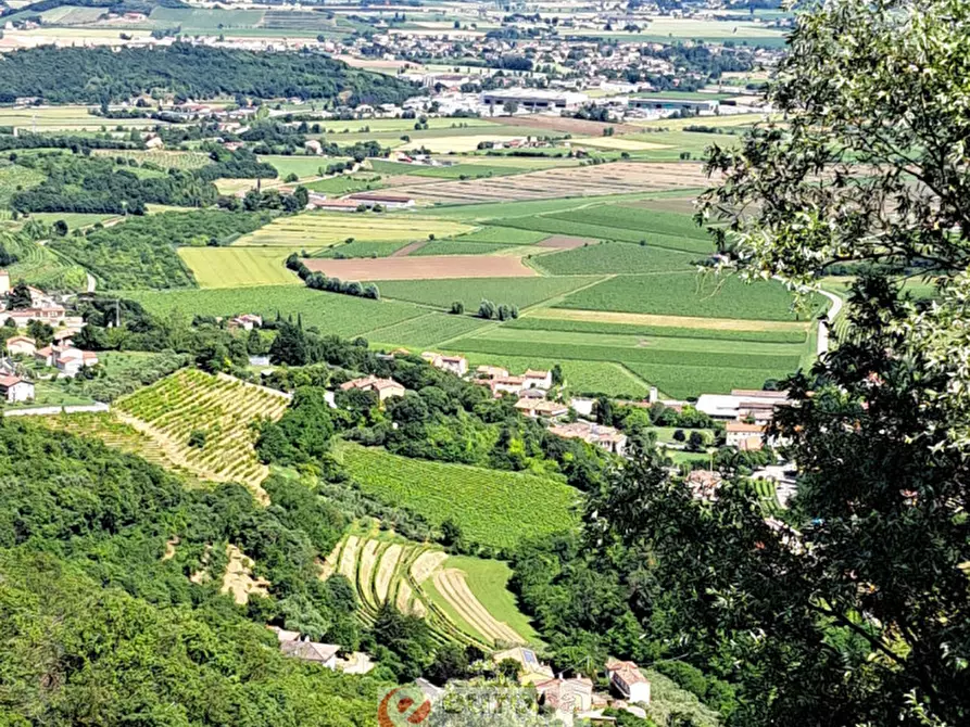 Immagine 13 di Terreno in vendita  a Villaga
