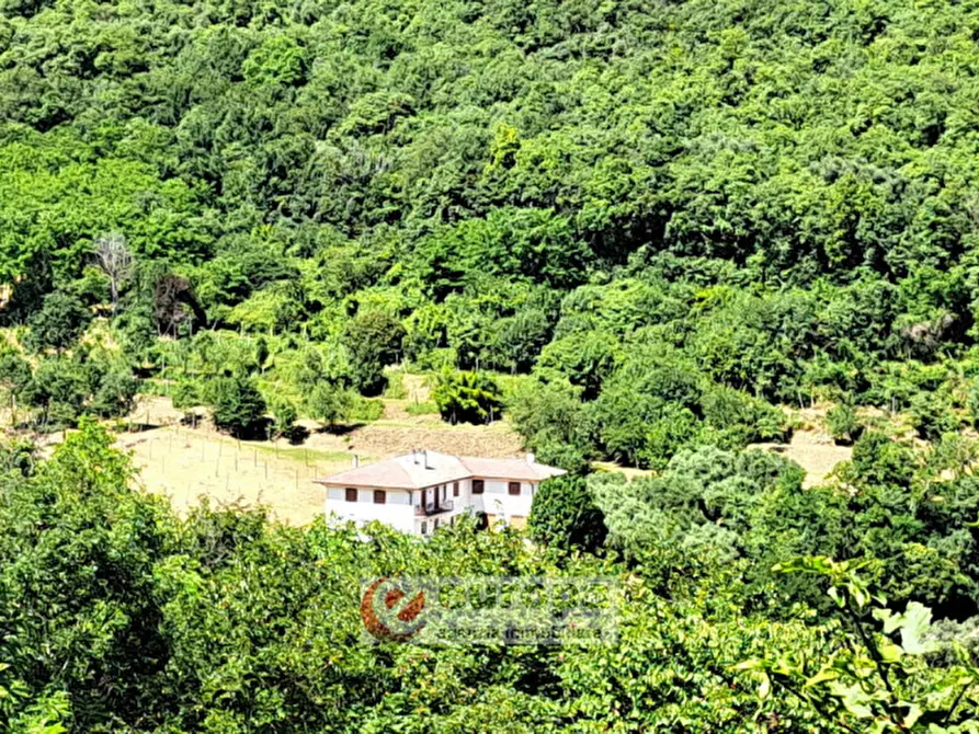 Immagine 14 di Terreno in vendita  a Villaga