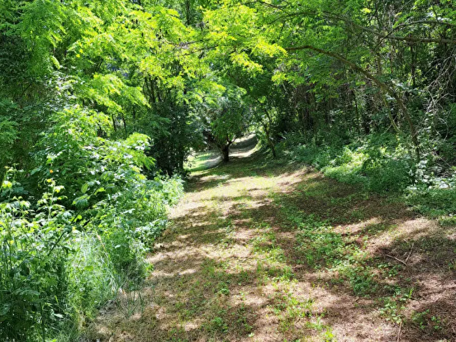 Immagine 16 di Terreno in vendita  a Villaga