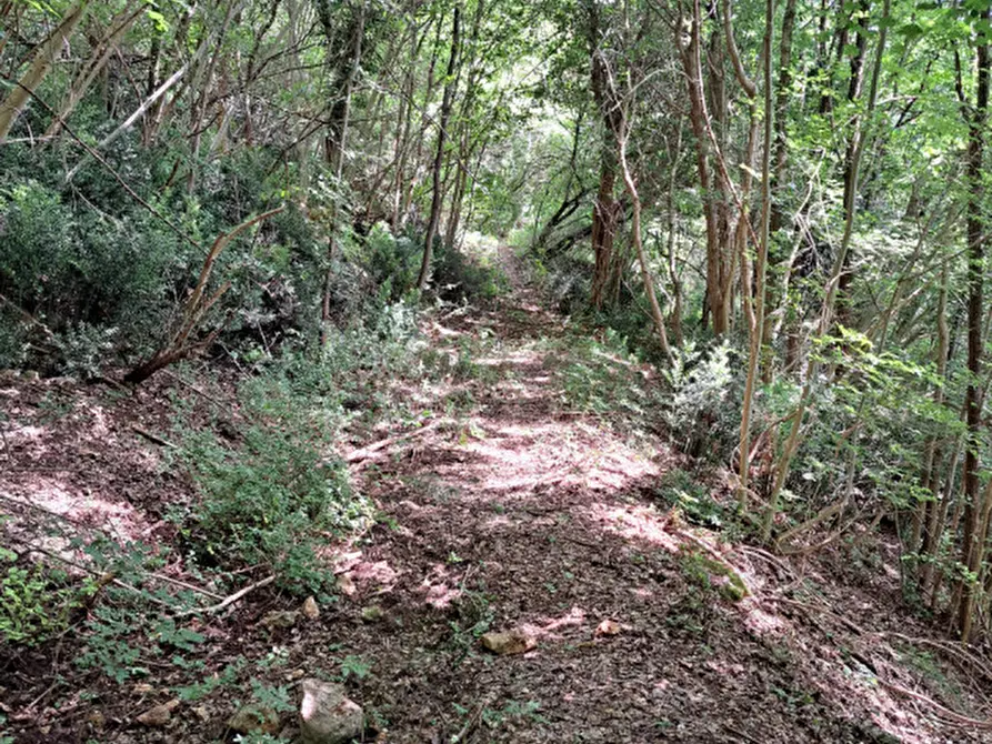 Immagine 17 di Terreno in vendita  a Villaga