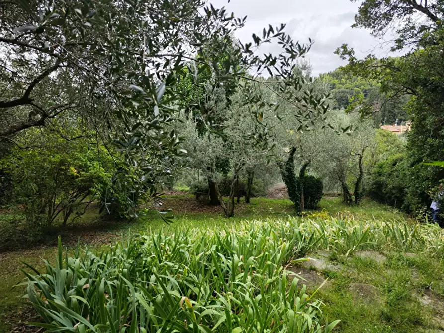 Immagine 4 di Appartamento in vendita  in VIA DELLA PASTORELLA a Firenze