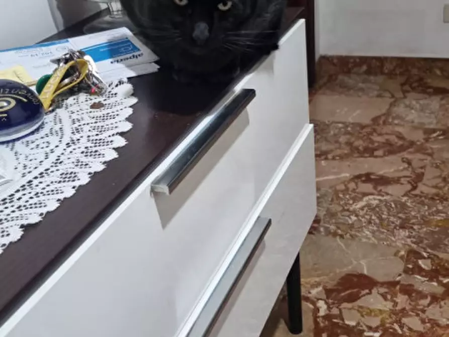 Immagine 9 di Appartamento in vendita  in Via Teresa Casati a Venezia