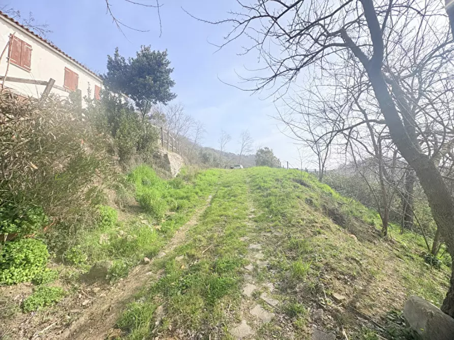 Immagine 8 di Rustico / casale in vendita  in VIA SASSONI a Cinto Euganeo