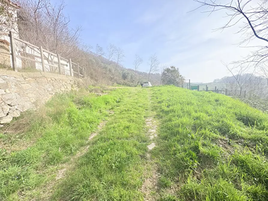 Immagine 9 di Rustico / casale in vendita  in VIA SASSONI a Cinto Euganeo