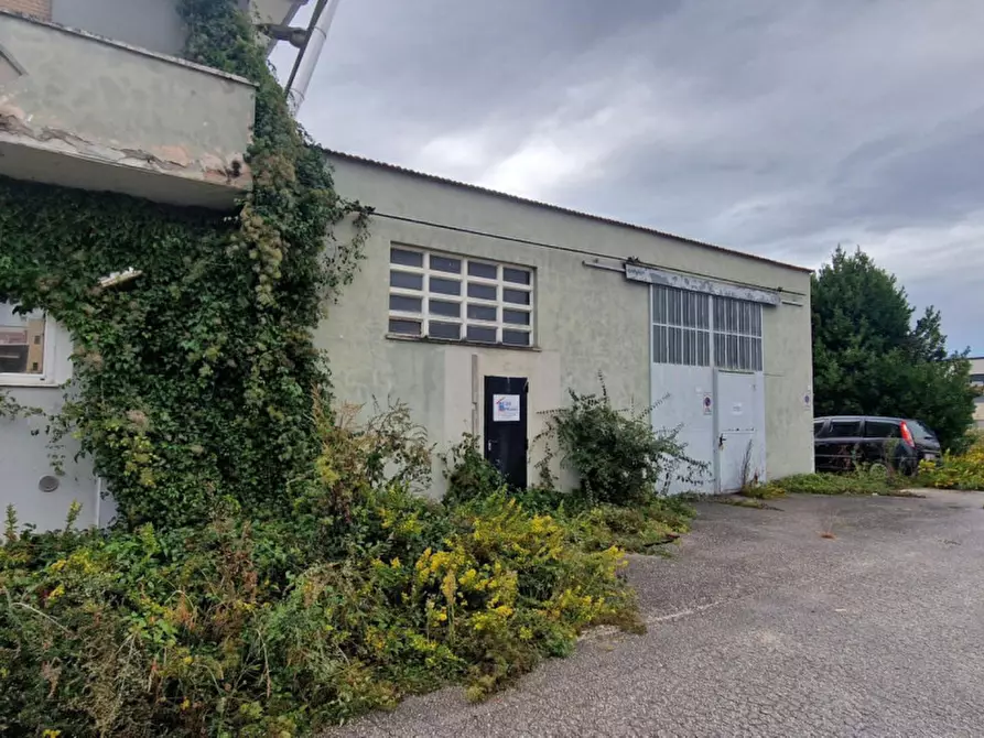 Immagine 3 di Capannone industriale in vendita  in Via Fabriano, 25, 60030 Moie AN, Italia a Maiolati Spontini