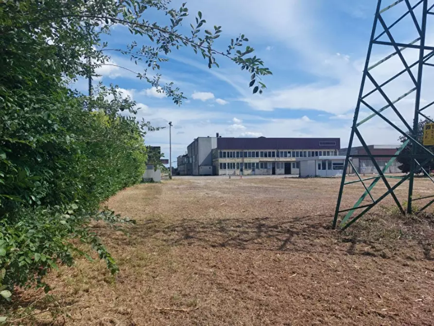 Immagine 12 di Capannone industriale in vendita  in Via Collegio, 10, 44033 Ruina FE, Italia a Riva Del Po