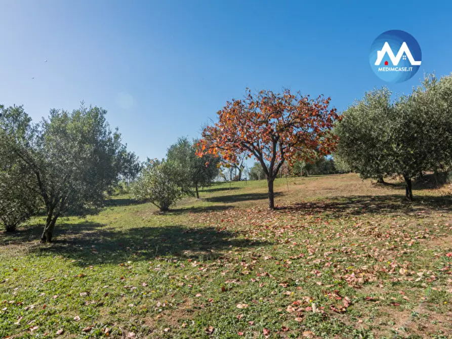 Immagine 25 di Rustico / casale in vendita  in strada montebacchino a Pesaro