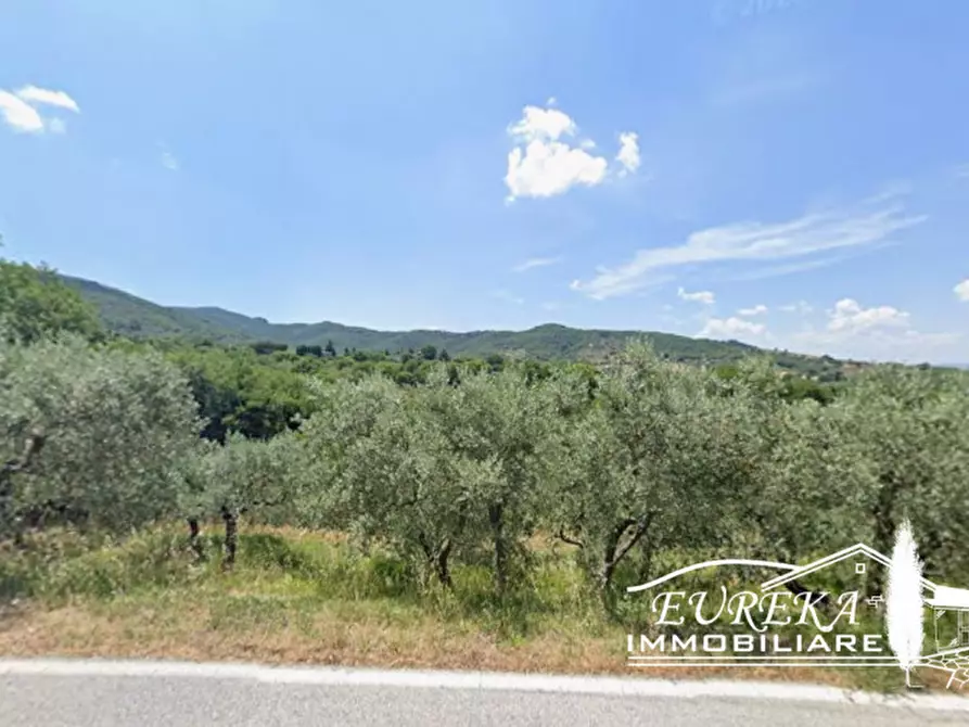 Immagine 1 di Terreno in vendita  in Via della Torre a Paciano