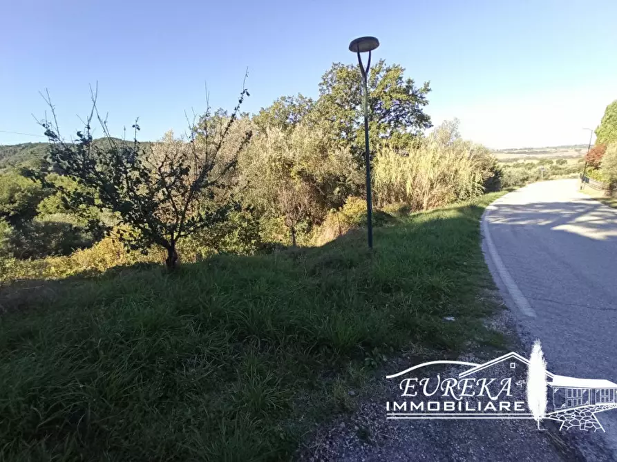 Immagine 4 di Terreno in vendita  in Via della Torre a Paciano