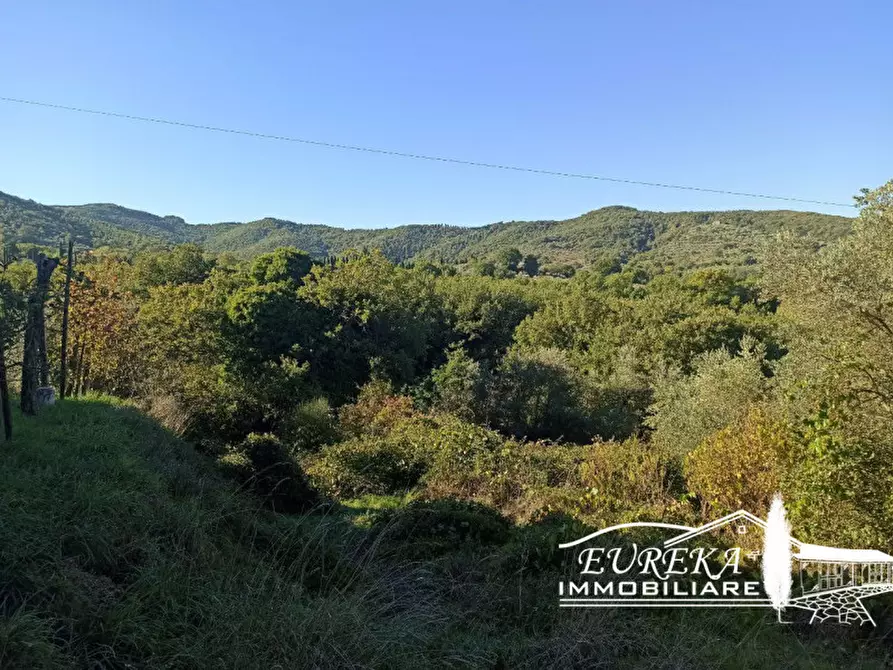 Immagine 5 di Terreno in vendita  in Via della Torre a Paciano