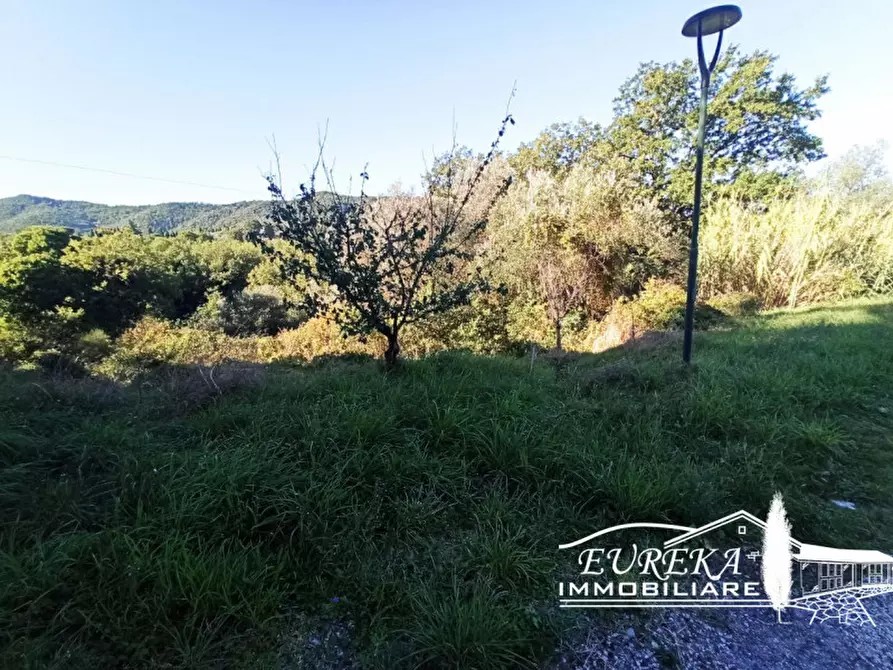 Immagine 6 di Terreno in vendita  in Via della Torre a Paciano