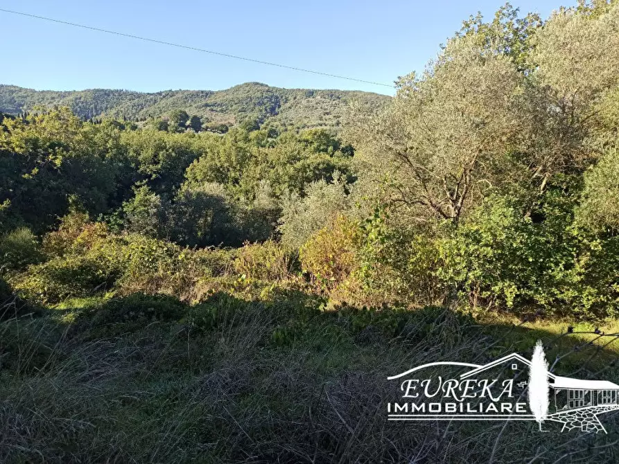 Immagine 7 di Terreno in vendita  in Via della Torre a Paciano