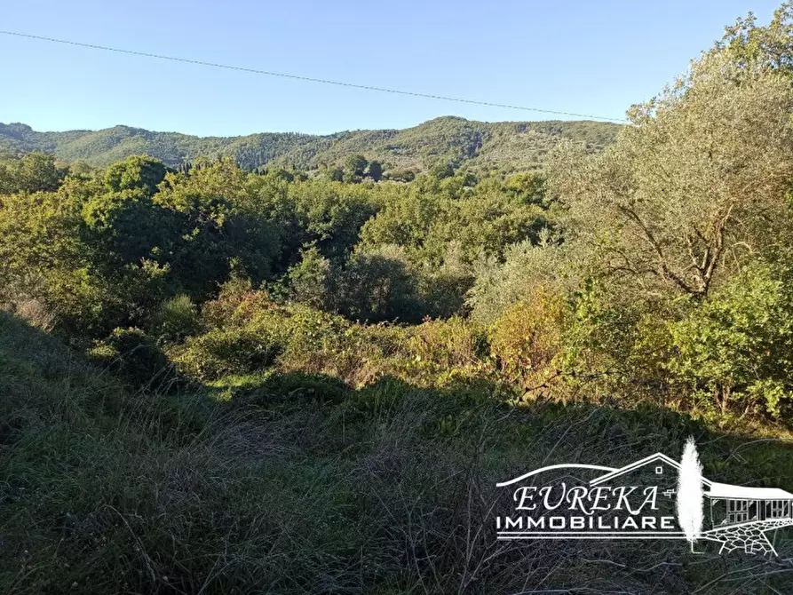 Immagine 8 di Terreno in vendita  in Via della Torre a Paciano