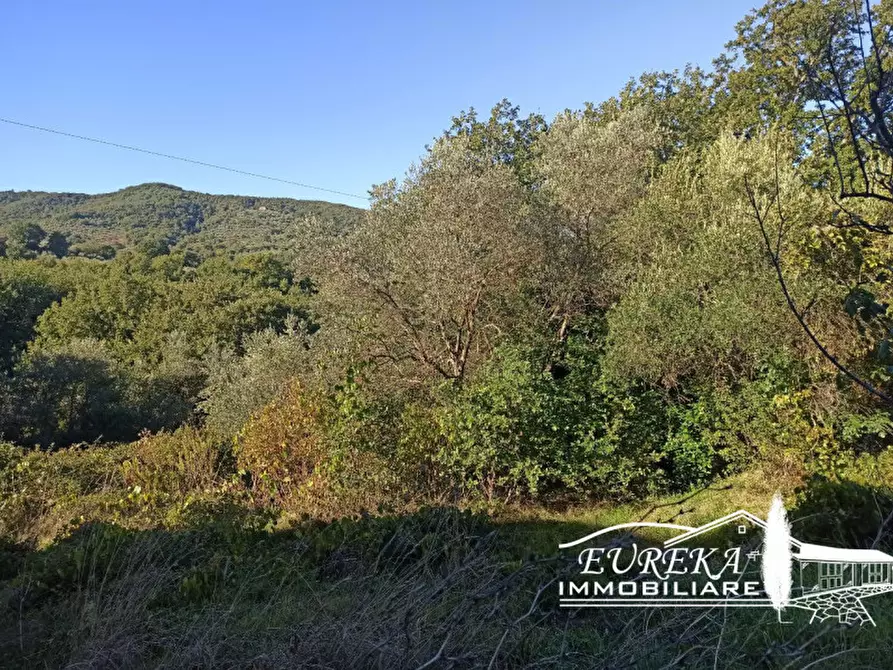 Immagine 9 di Terreno in vendita  in Via della Torre a Paciano