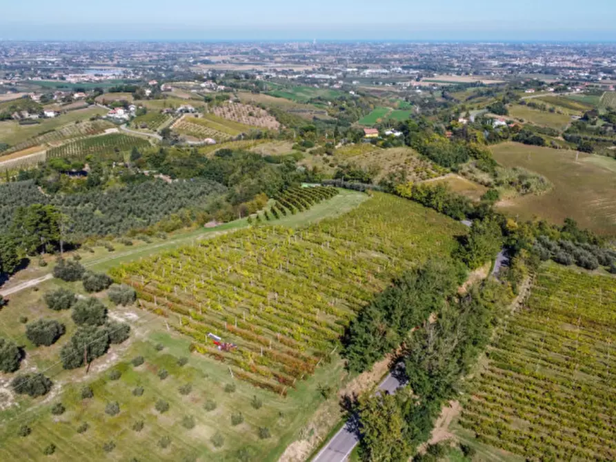 Immagine 1 di Terreno in vendita  a Cesena
