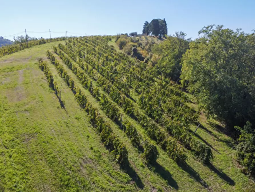 Immagine 3 di Terreno in vendita  a Cesena