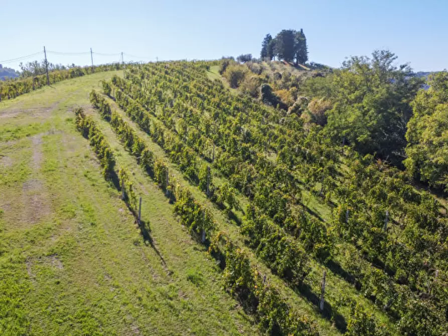 Immagine 4 di Terreno in vendita  a Cesena
