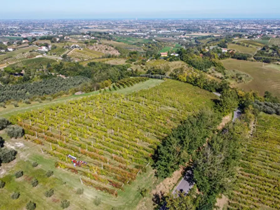 Immagine 8 di Terreno in vendita  a Cesena
