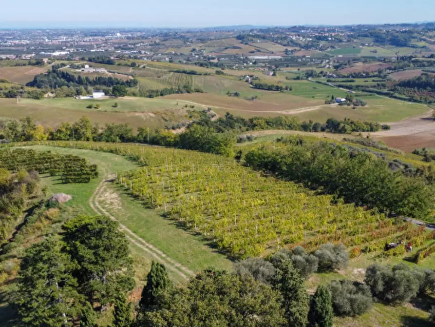 Immagine 10 di Terreno in vendita  a Cesena