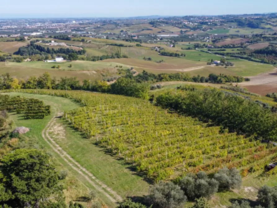 Immagine 11 di Terreno in vendita  a Cesena
