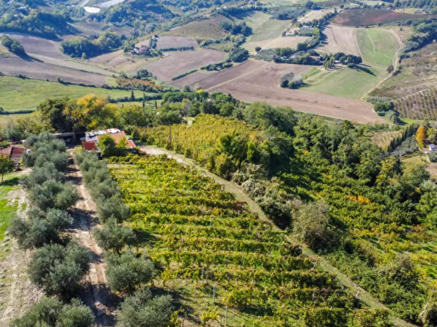 Immagine 13 di Terreno in vendita  a Cesena