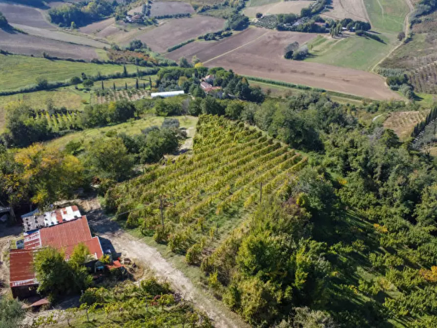 Immagine 15 di Terreno in vendita  a Cesena