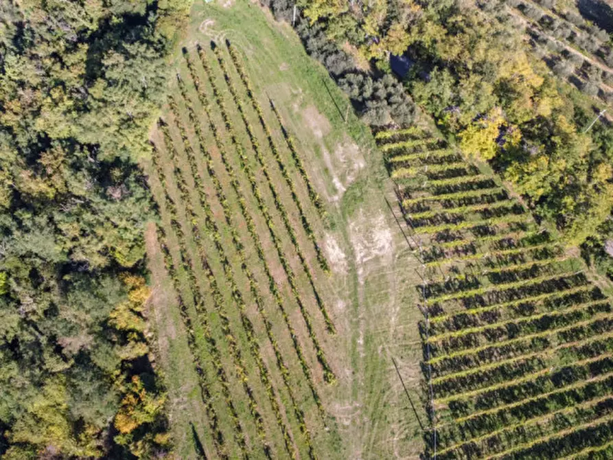 Immagine 17 di Terreno in vendita  a Cesena