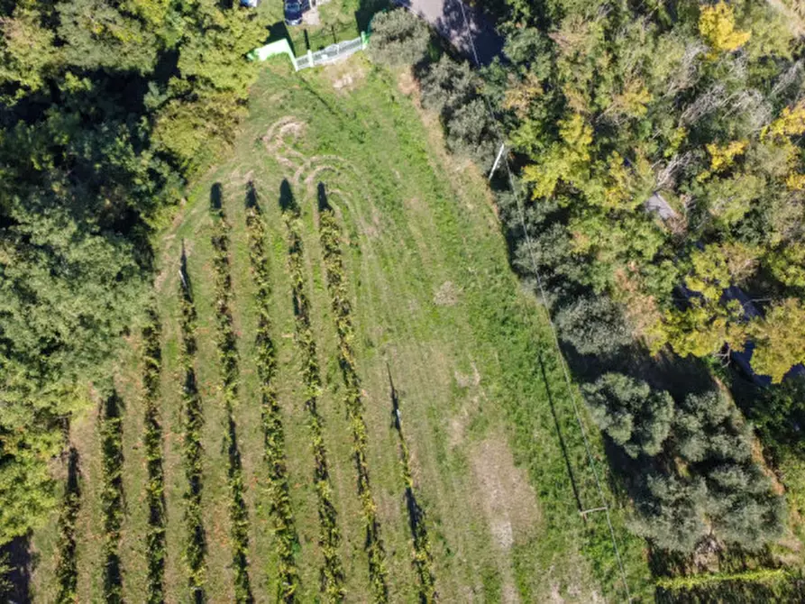 Immagine 18 di Terreno in vendita  a Cesena